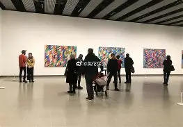 开云中国-维莱莉·法瑞斯